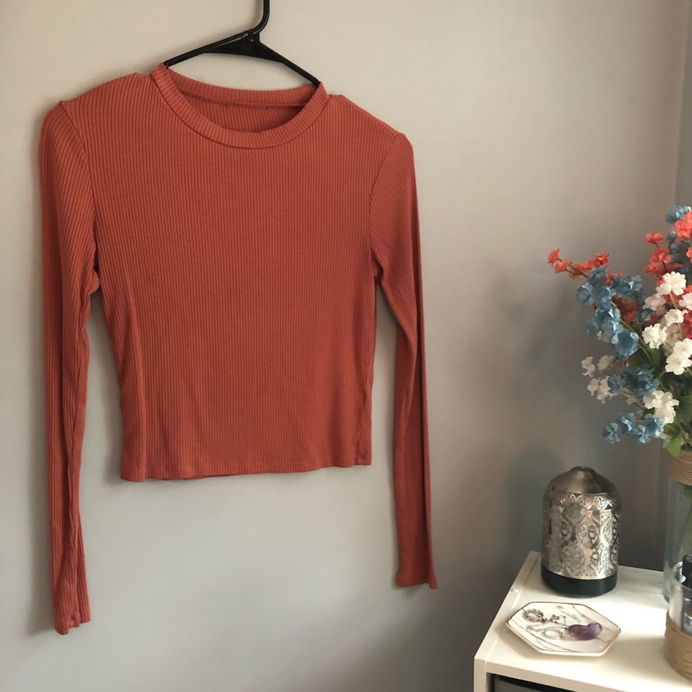 Long sleeve crop top